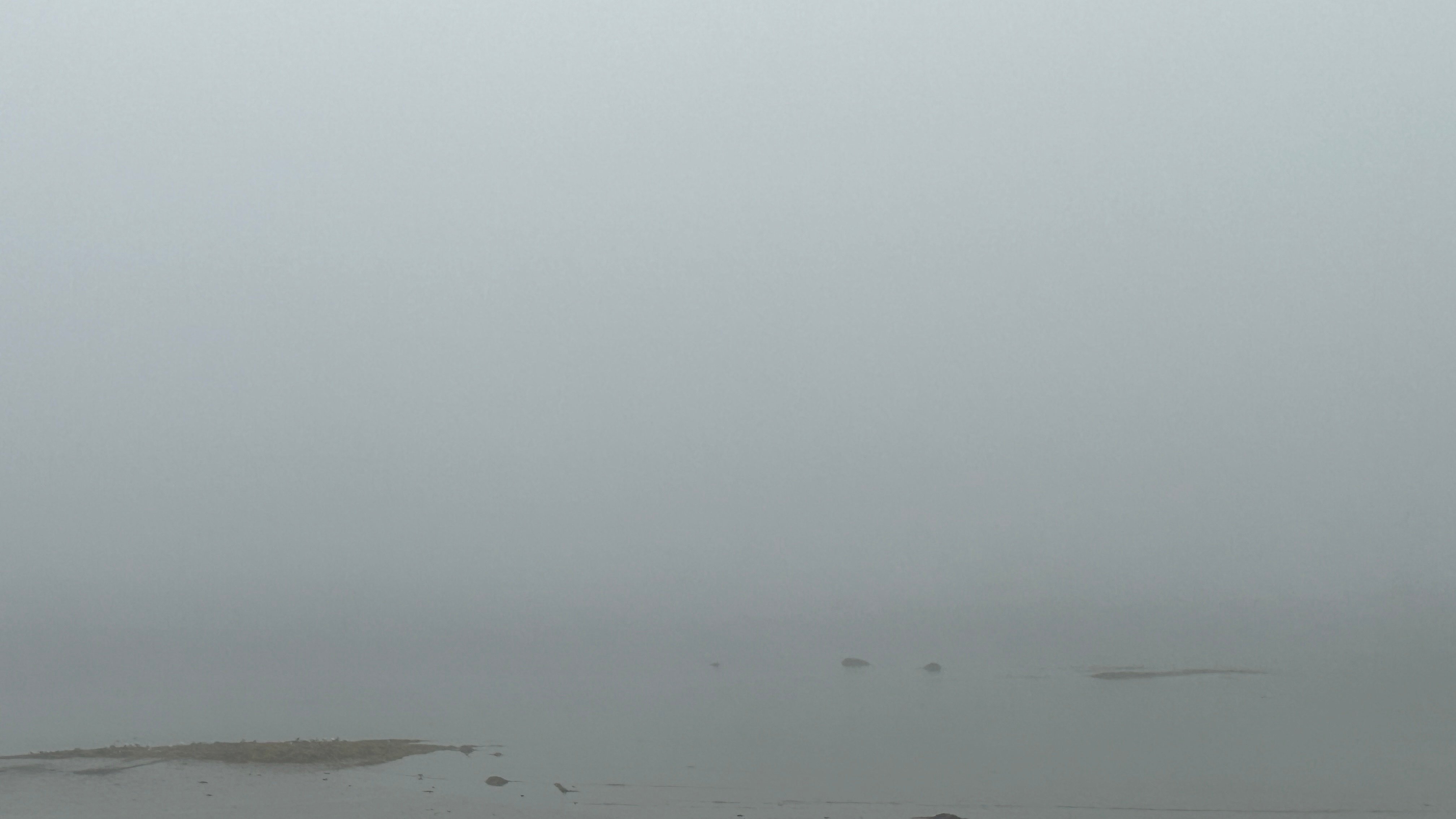 fog obscuring the ocean horizon