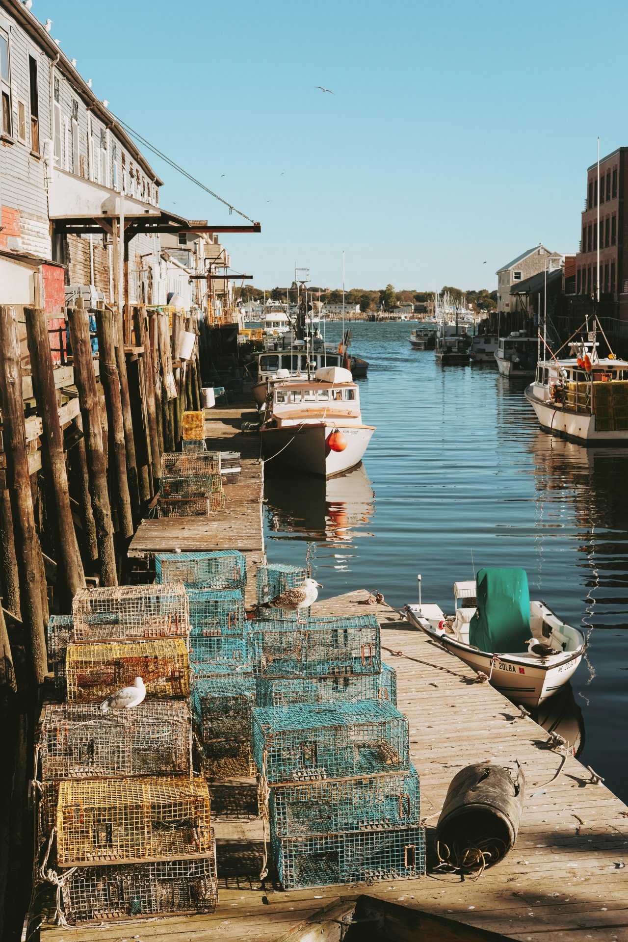 matt-mcnulty-atsXDz_wk3A-unsplash matt-mcnulty-atsXDz_wk3A-unsplash